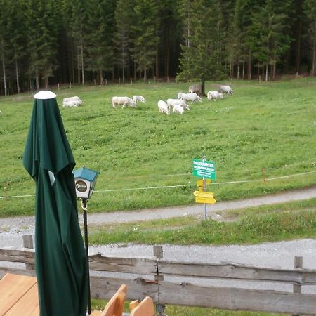 Gasthof Untere Valentinalm Hotel Plöcken Kültér fotó
