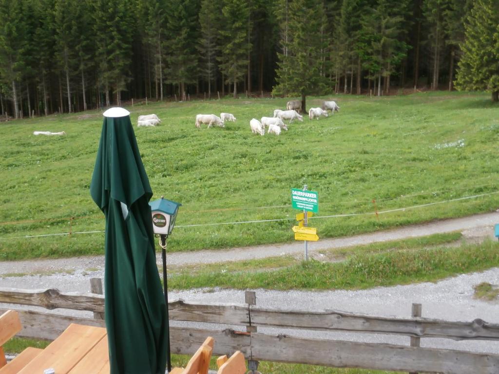 Gasthof Untere Valentinalm Hotel Plöcken Kültér fotó